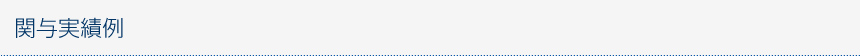 関与実績例