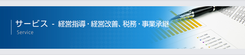 サービス-経営指導・経営改善、税務・事業承継導 Service