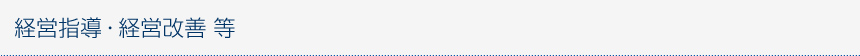経営指導・経営改善 等